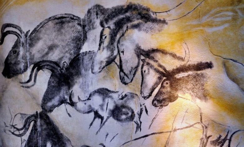 Aurignacian cave paintings, Chauvet Cave. Image Credit: Wikimedia Commons.