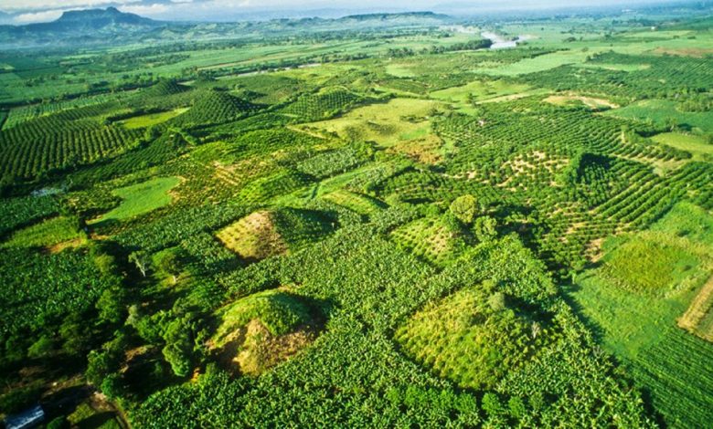 Aerial view of some of the buried pyramids of El Pital. Pinterest.