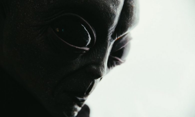 An artist's rendering of a Grey Alien. Shutterstock.