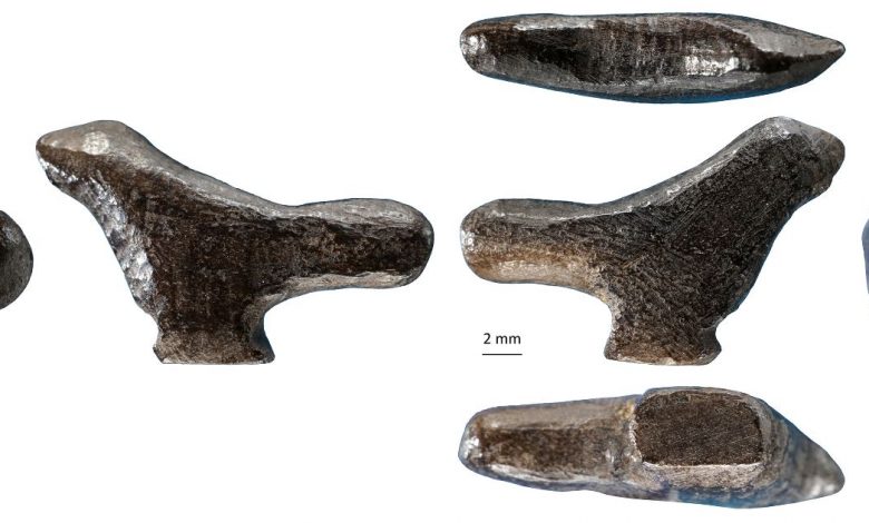 An image showing the six aspects of the carved statue. Image Credit: PLOS ONE.