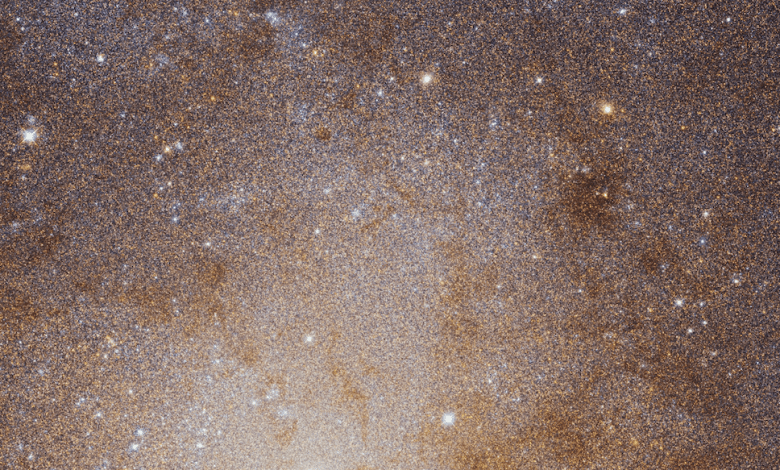 The sharpest view ever of the Triangulum Galaxy. Image Credit: ESA.