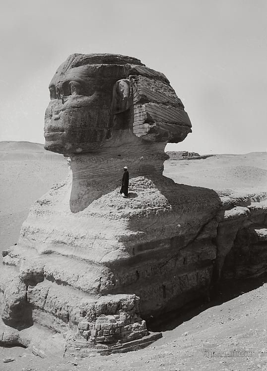 Vedere de profil a Sfinxului Giza Egipt 1900-1920. Credit imagine: Photographium Historic Photo Archive