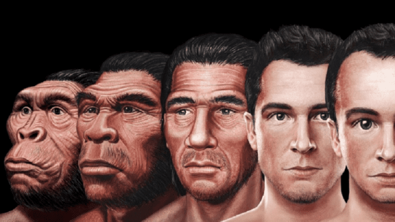 This Is What The Human Face Will Look Like In The Future Curiosmos   Evolution Of The Human Face 768x432 