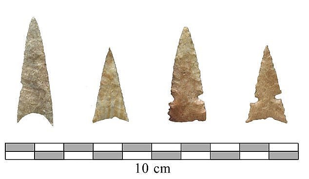 Arrowheads discovered at the site. Image Credit: Dr. Donald Blakeslee.