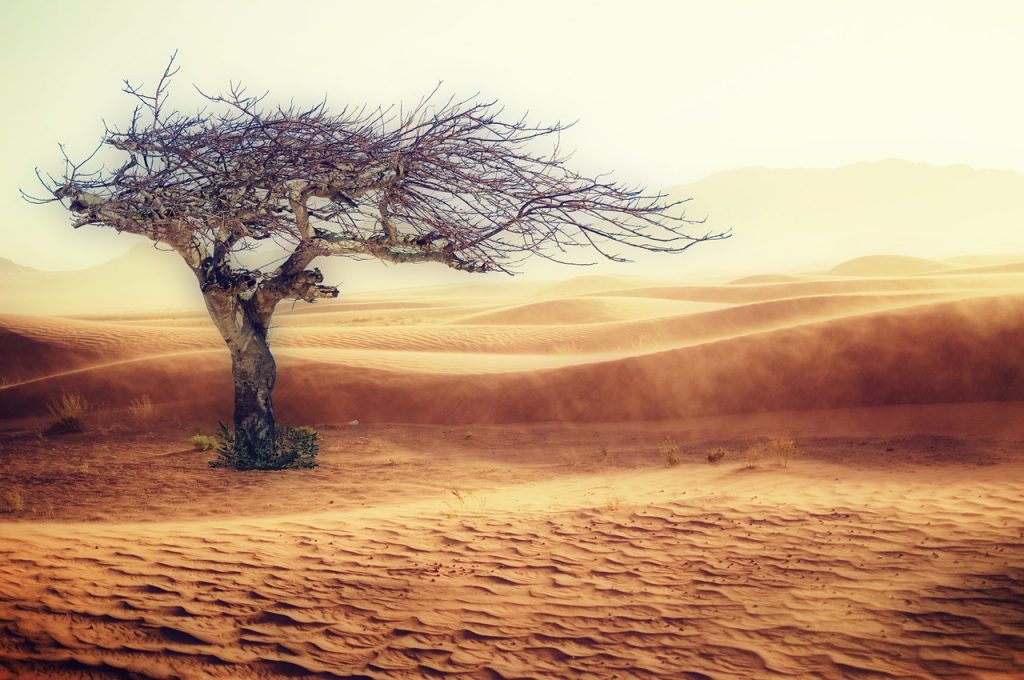 Desert, Drought landscape. Image Credit: cocoparisienne / Pixabay. 