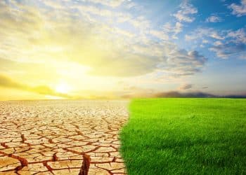 Sahara climate cycle reveals desert turns green every 20000 years