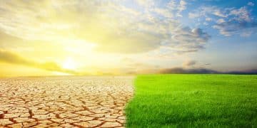 Sahara climate cycle reveals desert turns green every 20000 years