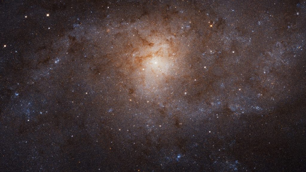 The Triangulum Galaxy (M33) Image Credit: NASA, ESA, and M. Durbin, J. Dalcanton, and B.F. Williams (University of Washington).