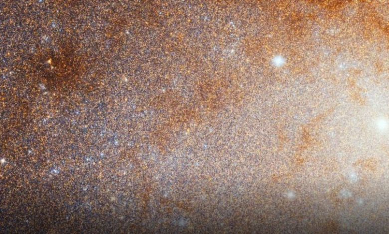 Zoom into the Triangulum Galaxy. Image Credit: NASA, ESA, and G. Bacon (STScI).