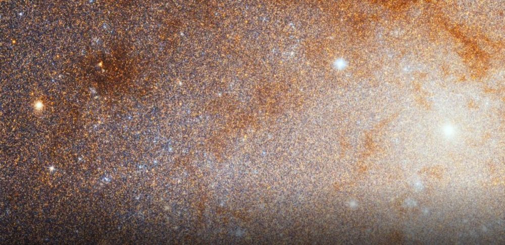 Zoom into the Triangulum Galaxy. Image Credit: NASA, ESA, and G. Bacon (STScI).