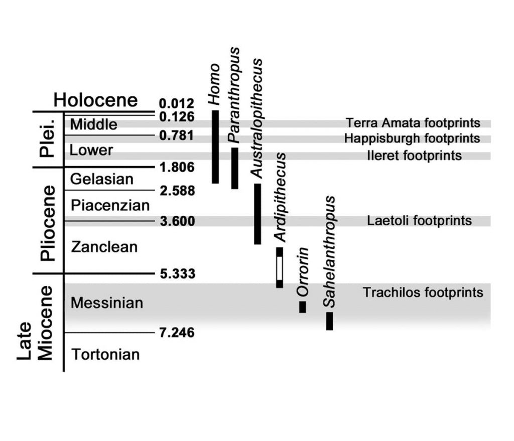 Oldest known footprints.
