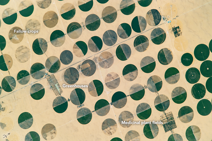 An astronaut aboard the International Space Station captured this photograph of circular farming patterns in Sharq El Owainat in southwest Egypt. The remote agricultural outpost in the Sahara Desert lies approximately 290 kilometers (180 miles) from the nearest city and 210 kilometers (130 miles) from the Toshka lakes. Image Credit: NASA.