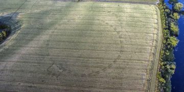 Image Credit: Anthony Murphy.