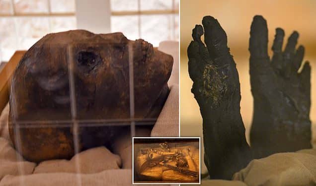 Close-up of King Tutankhamun's face in his new resting place. REUTERS/Mohamed Abd El Ghany.