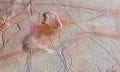 The surface of Jupiter's Icy Moon Europa. NASA/JPL-CALTECH/KEVIN M. GILL.
