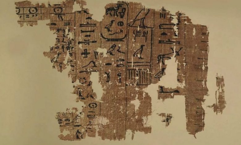 Seen here is one of the one of the papyri which documented the construction of the Great Pyramid of Giza.Image Credit: Egyptian Ministry of Antiquities.