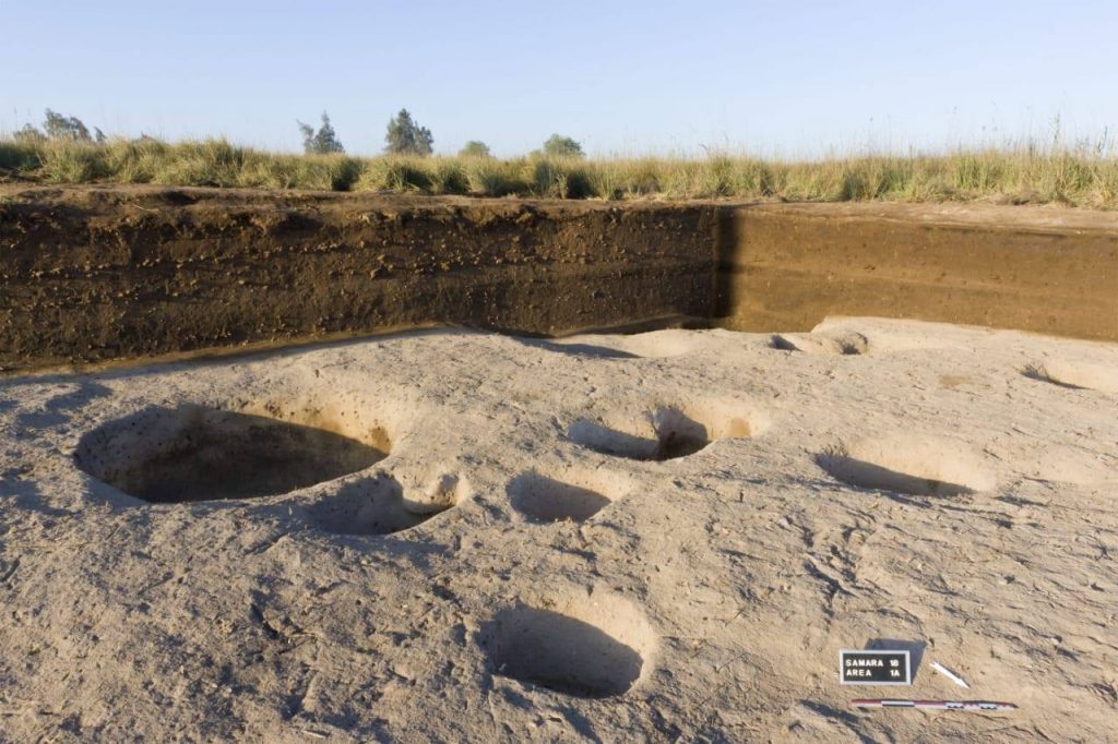 The remains of the ancient settlement. Image Credit: The Egyptian Ministry of Antiquities.