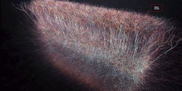 Image Credit: Blue Brain Project.