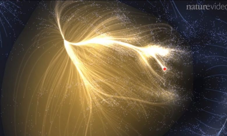 Image Credit: Nature / YouTube.