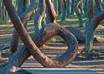 Image Credit: Anna Pronenko/Panoramio.