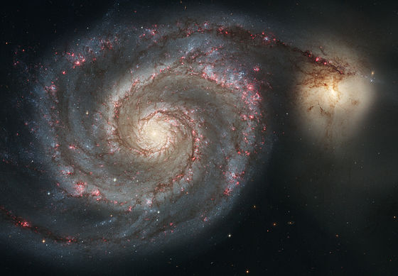 The Whirlpool Galaxy (Spiral Galaxy M51, NGC 5194), a classic spiral galaxy located in the Canes Venatici constellation, and its companion NGC 5195. Image Credit: Wikimedia Commons.