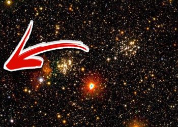 Think We Are Alone in the Universe? Here Are 25 Images That Will Change Your Mind