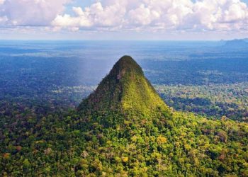 More Than 10,000 Years Ago, People inhabited the Amazon Creating Settlements