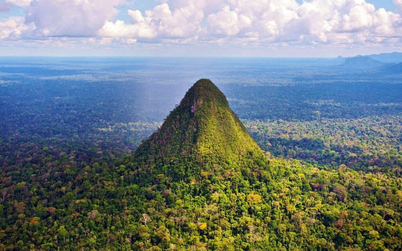 More Than 10,000 Years Ago, People inhabited the Amazon Creating