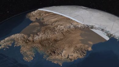 Scientists Have Found A Lost Continent Beneath Antarctica — Curiosmos