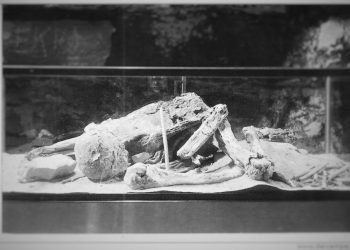 A rare Image of the Fawn Hoof Mummy. Image Credit: http://www.jsjgeology.net.