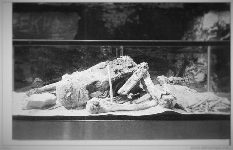 A rare Image of the Fawn Hoof Mummy. Image Credit: http://www.jsjgeology.net.