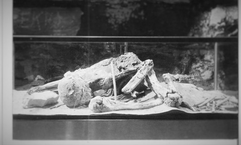 A rare Image of the Fawn Hoof Mummy. Image Credit: http://www.jsjgeology.net.