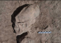 Here Are 5 of the Most Bizarre Elongated Skulls Ever Found