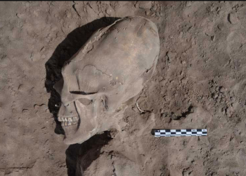 Here Are 5 of the Most Bizarre Elongated Skulls Ever Found