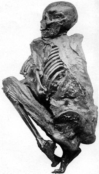 A rare Image of the Fawn Hoof Mummy. Image Credit: http://www.jsjgeology.net.