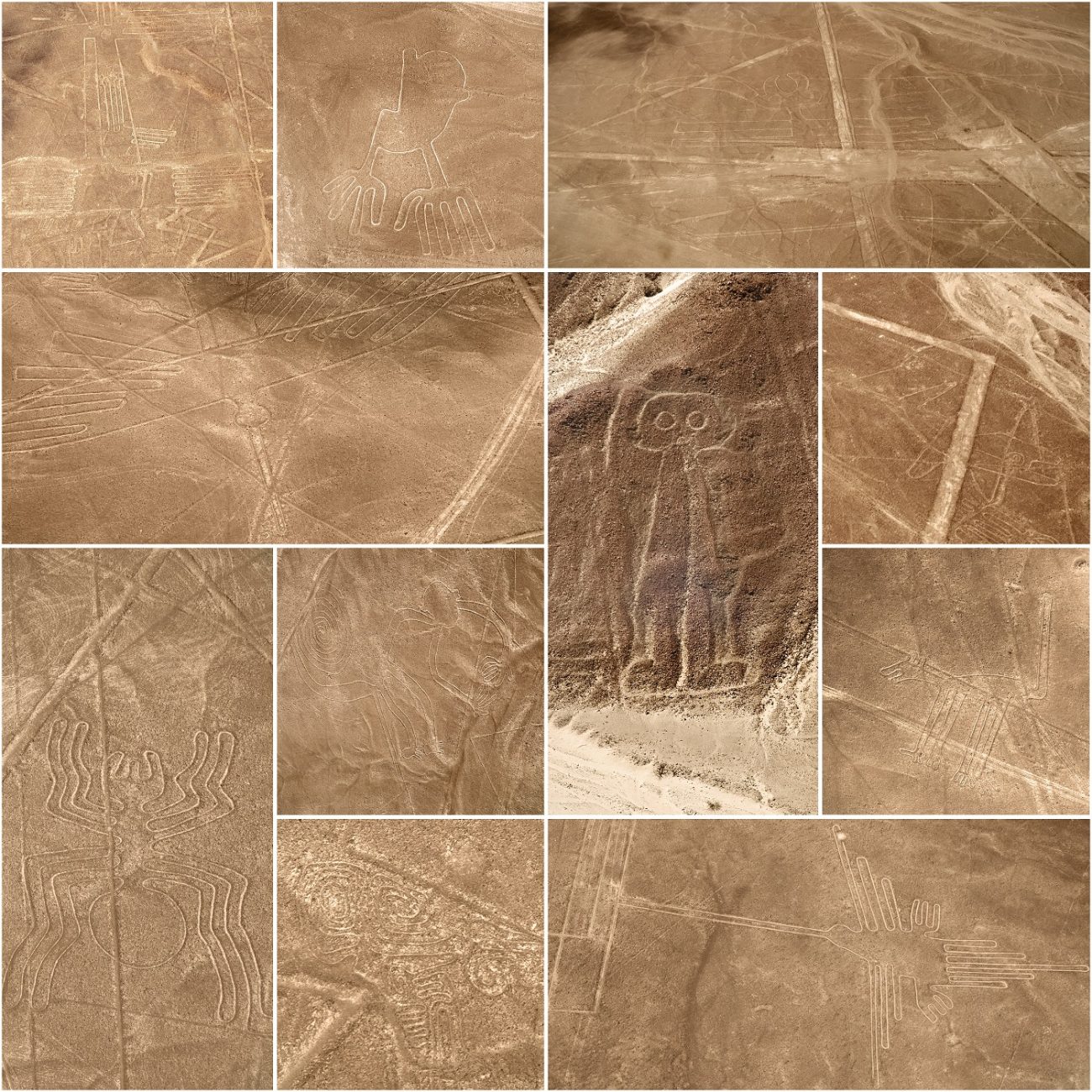 A collage of the Nazca lines. Image Credit: Shutterstock.