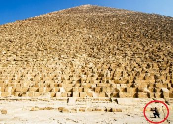 The Massive Size of the Great Pyramid of Giza Image Credit: Shutterstock.