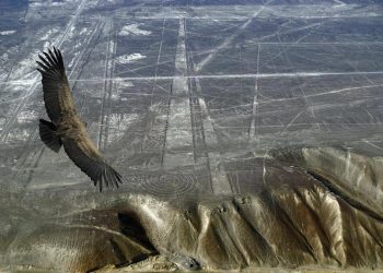 The Palpa Lines: Ancient Symbols Carved in the Desert Floor 1,000 Years Before Nazca