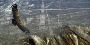 The Palpa Lines: Ancient Symbols Carved in the Desert Floor 1,000 Years Before Nazca