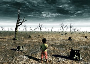 Global Warming and the collapse of ecosystems Curiosmos