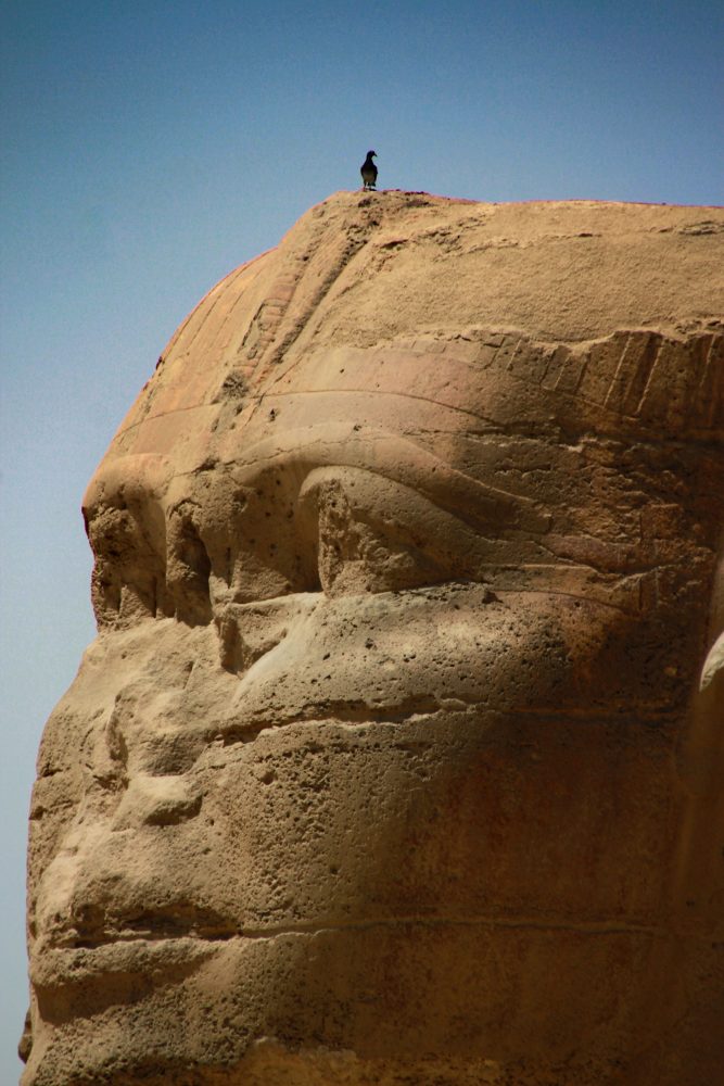 The badly damaged head of the Great Sphinx. Shutterstock.