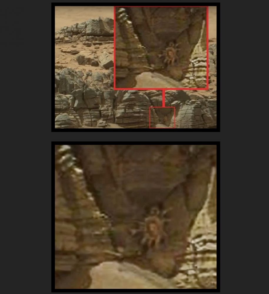 Crab's on Mars? Not likely. More like Pareidolia. 