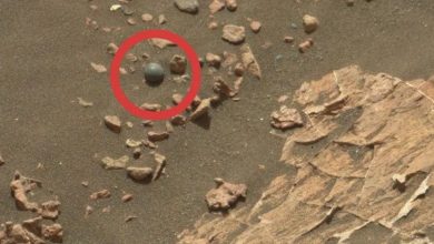 Here Are 7 of the Strangest Images Photographed on Mars — Curiosmos