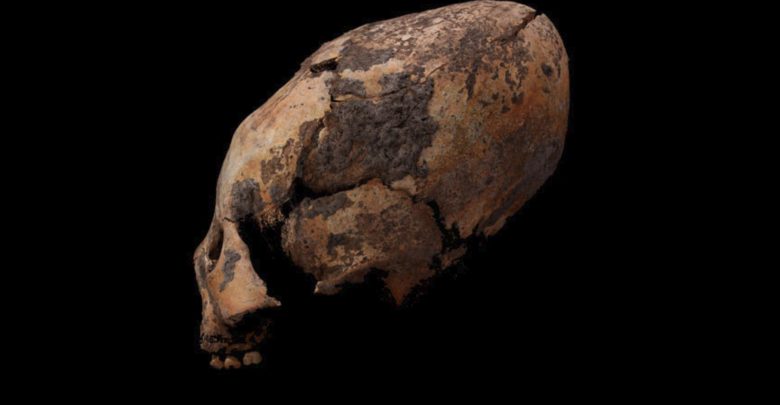 12,000-Year-Old Elongated Skulls Discovered in Asia Stun Experts