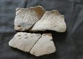 A shard of an ancient ceramic vessel from the insufficiently studied San Pedro complex found on Real Alto site, Ecuador. FEFU press office.