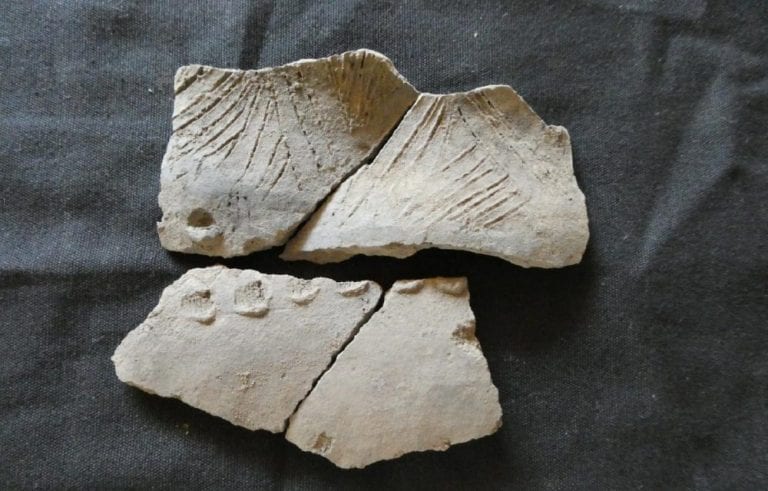 A shard of an ancient ceramic vessel from the insufficiently studied San Pedro complex found on Real Alto site, Ecuador. FEFU press office.