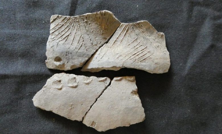 A shard of an ancient ceramic vessel from the insufficiently studied San Pedro complex found on Real Alto site, Ecuador. FEFU press office.