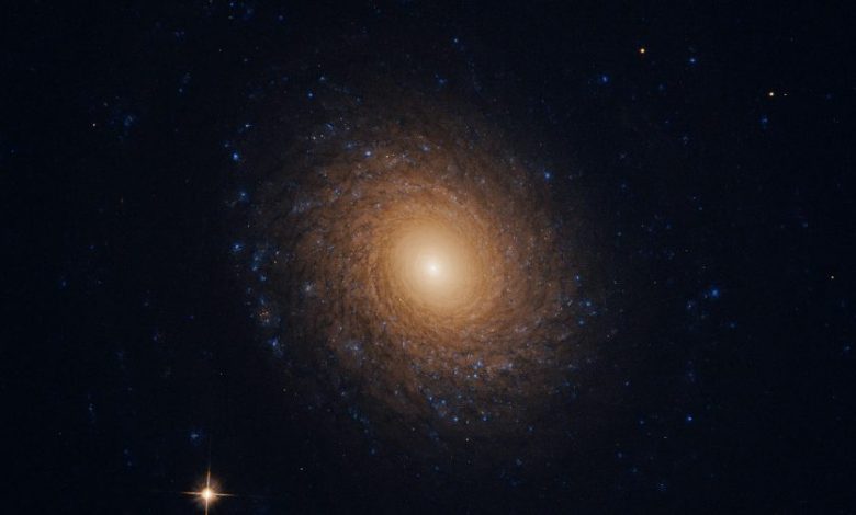 A stunning view of NGC2985. Image Credit: Wikimedia Commons / Judy Schmidt.