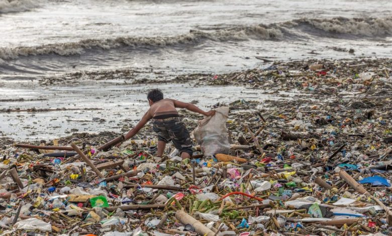 Plastic pollution on the beach. Shutterstock.