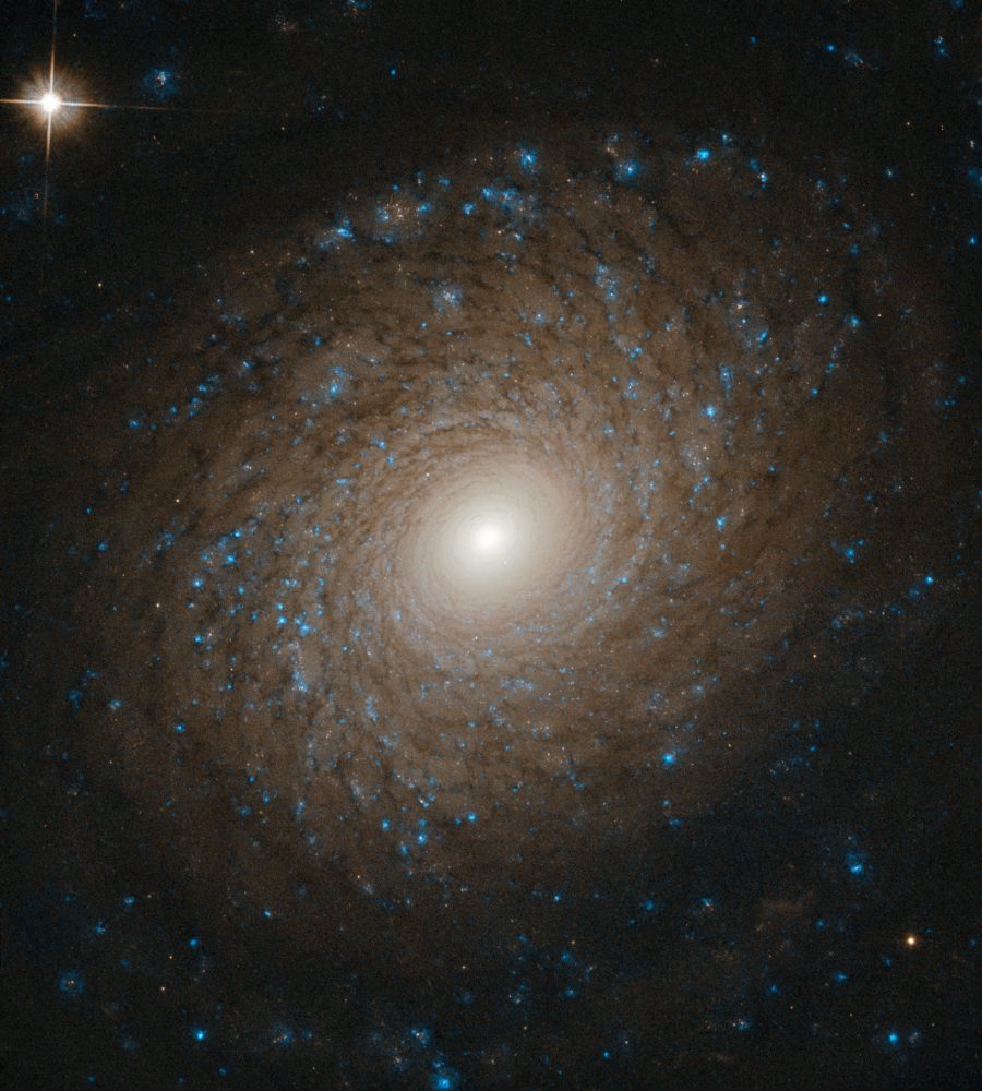 A stunning view of the NGC 2985 Galaxy. Image Credit: ESA/Hubble & NASA, L. Ho.